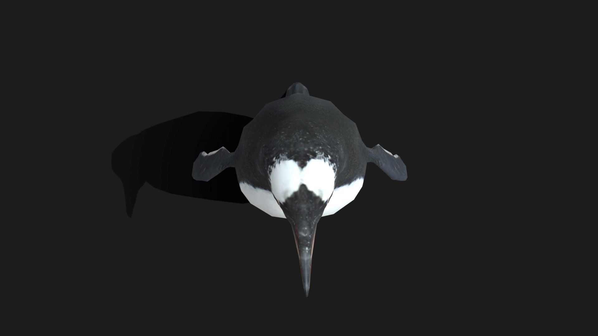 Gentoo Penguin - Animated Low-poly 3D model_15