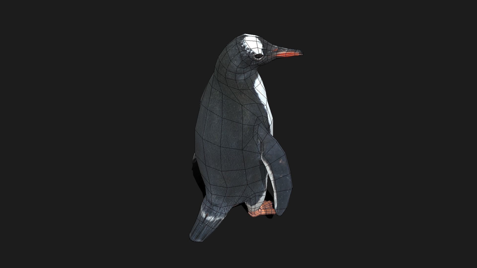 Gentoo Penguin - Animated Low-poly 3D model_5