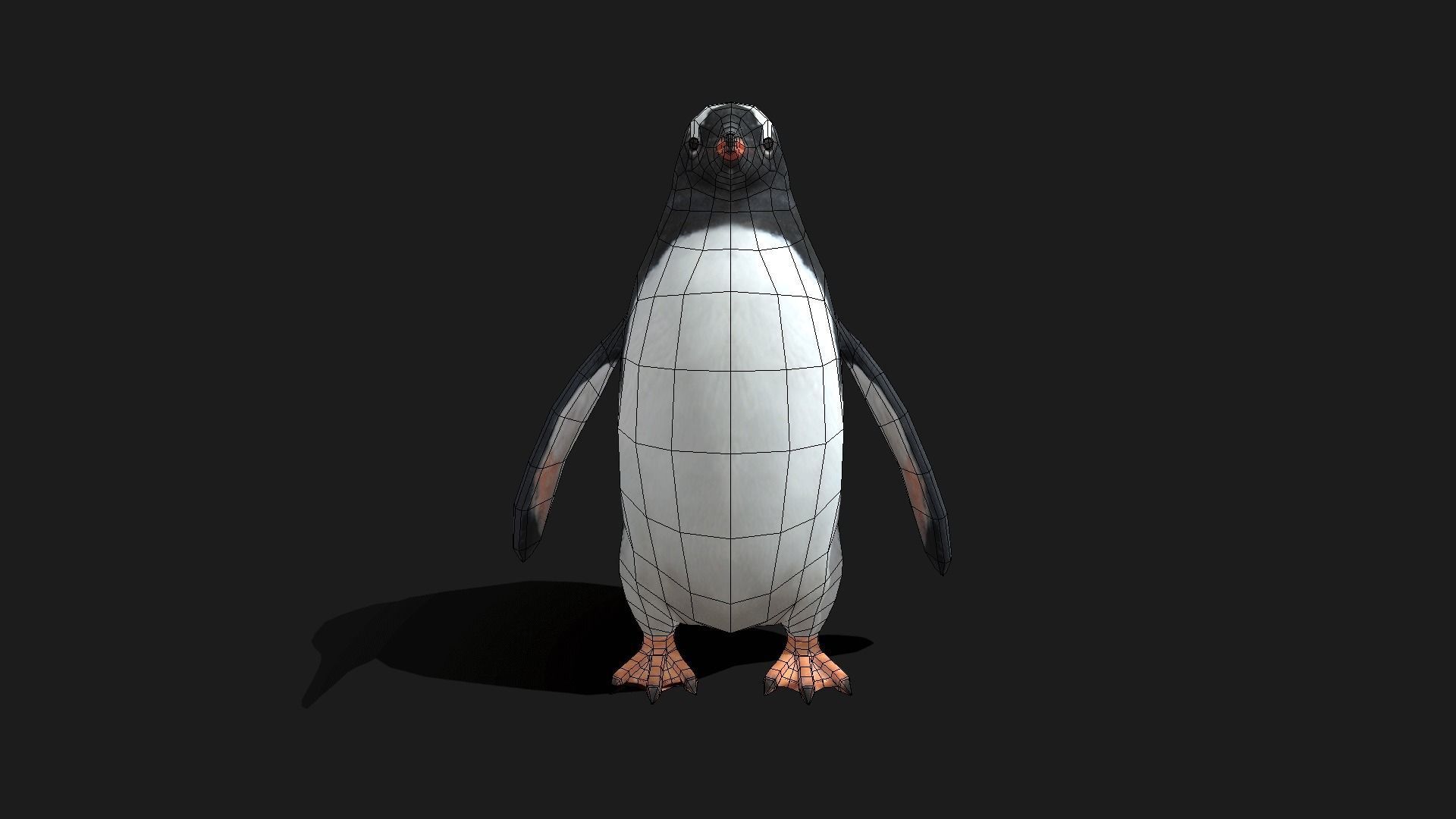 Gentoo Penguin - Animated Low-poly 3D model_20