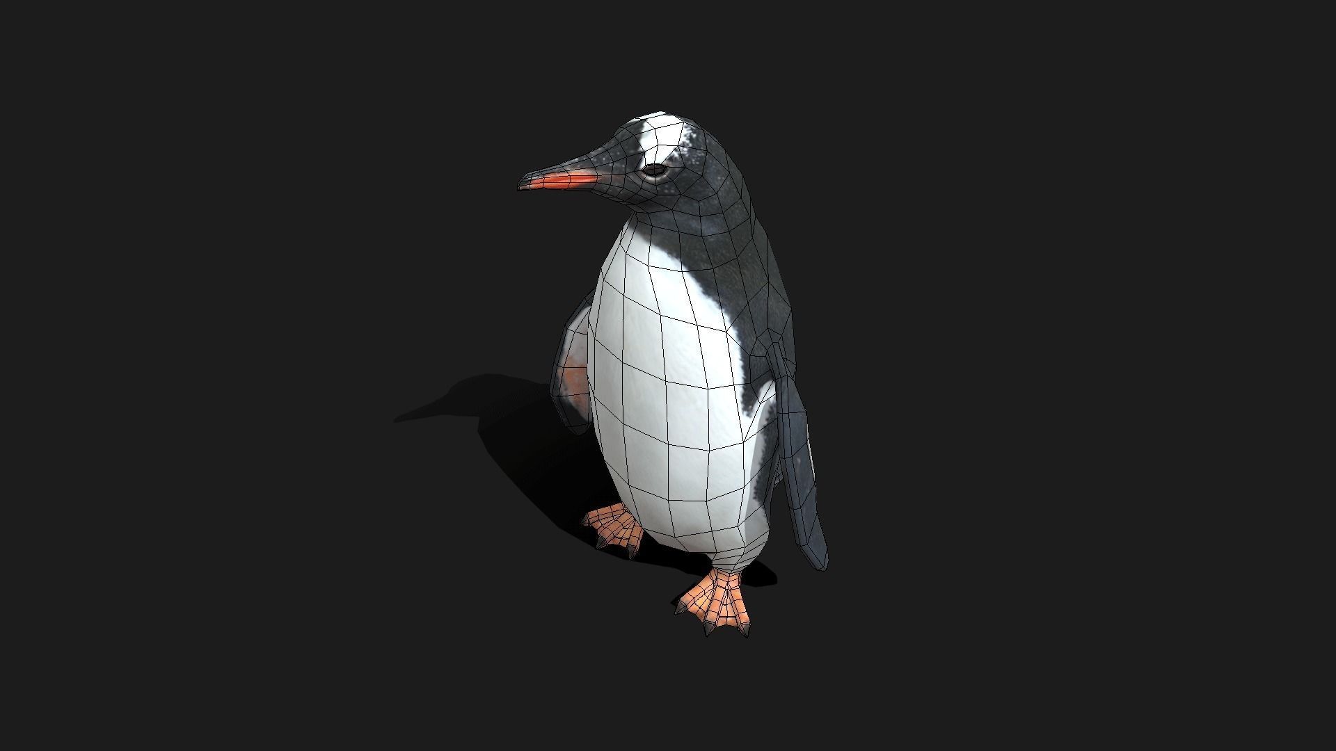 Gentoo Penguin - Animated Low-poly 3D model_7
