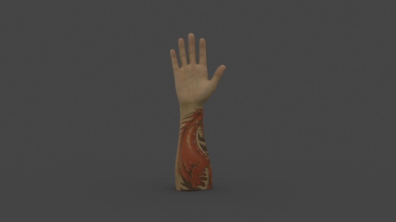 HAND-008 Right Hand Low-poly 3D model_2