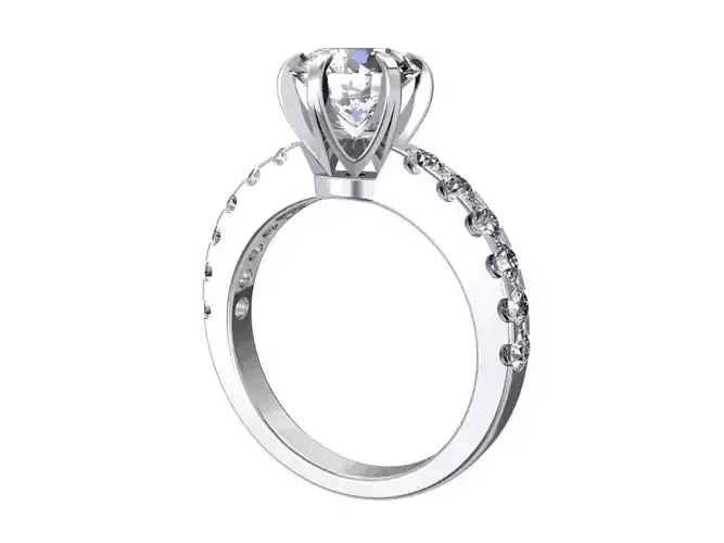 Engagement Solitaire Ring Model Separated Files- CC94-RV