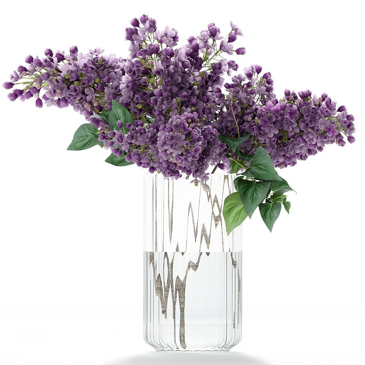 Flower collection lilac flowers in vase 3D model_12