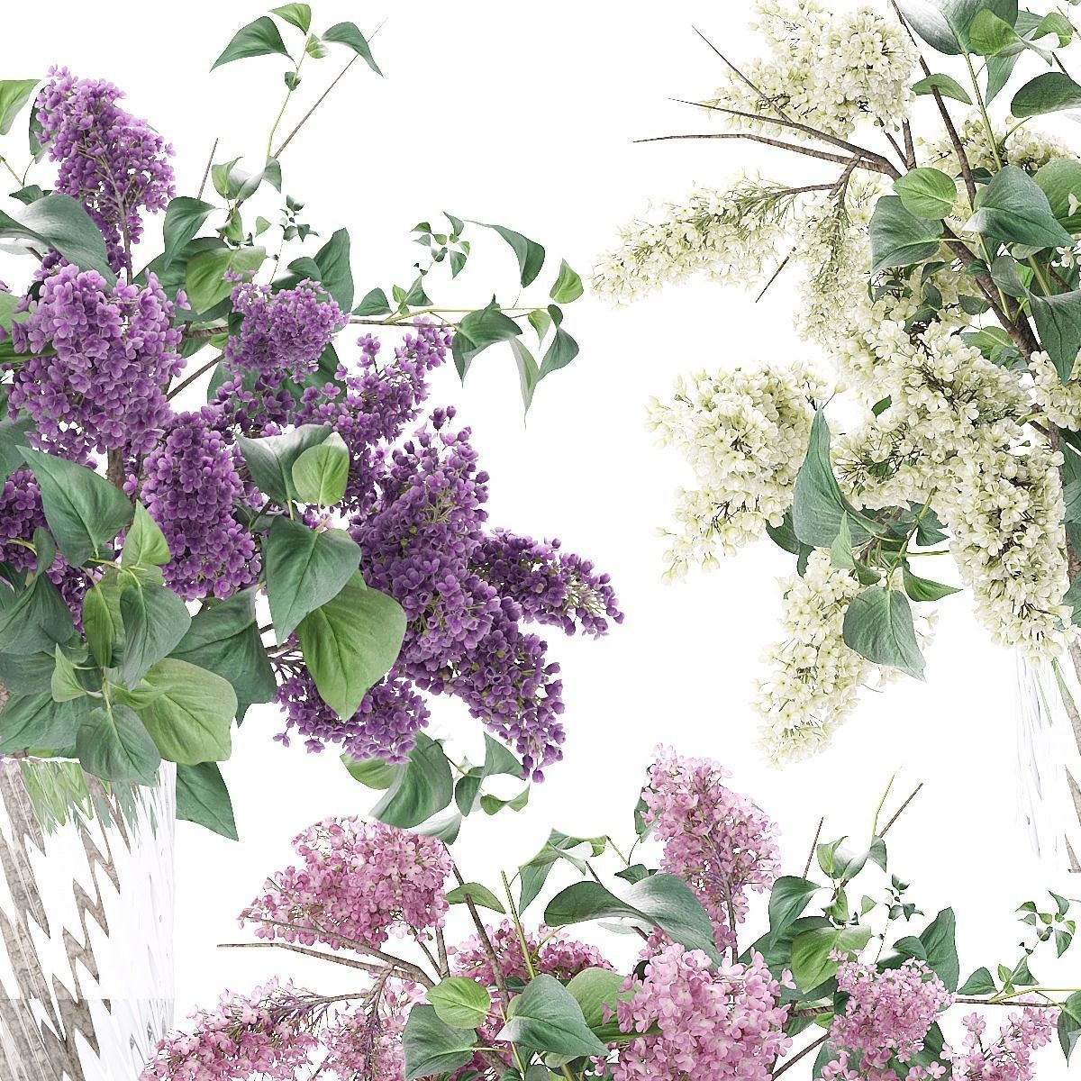 Flower collection lilac flowers in vase 3D model_1