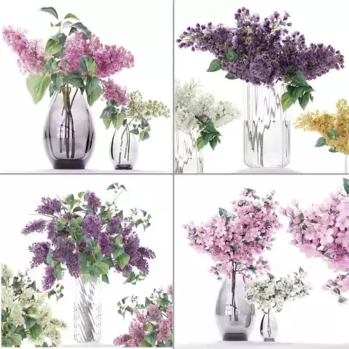 Flower collection lilac flowers in vase