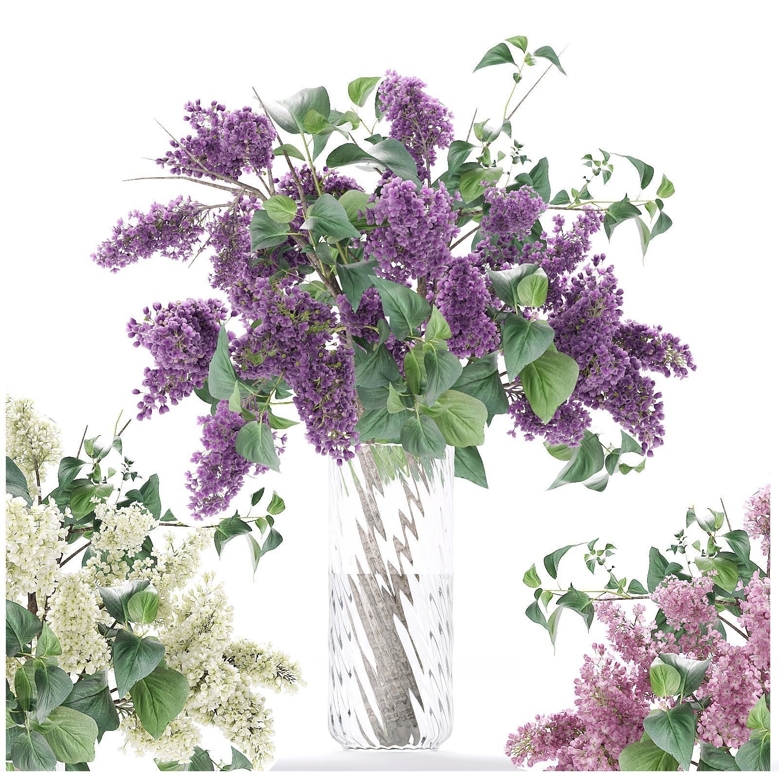 Flower collection lilac flowers in vase 3D model_3