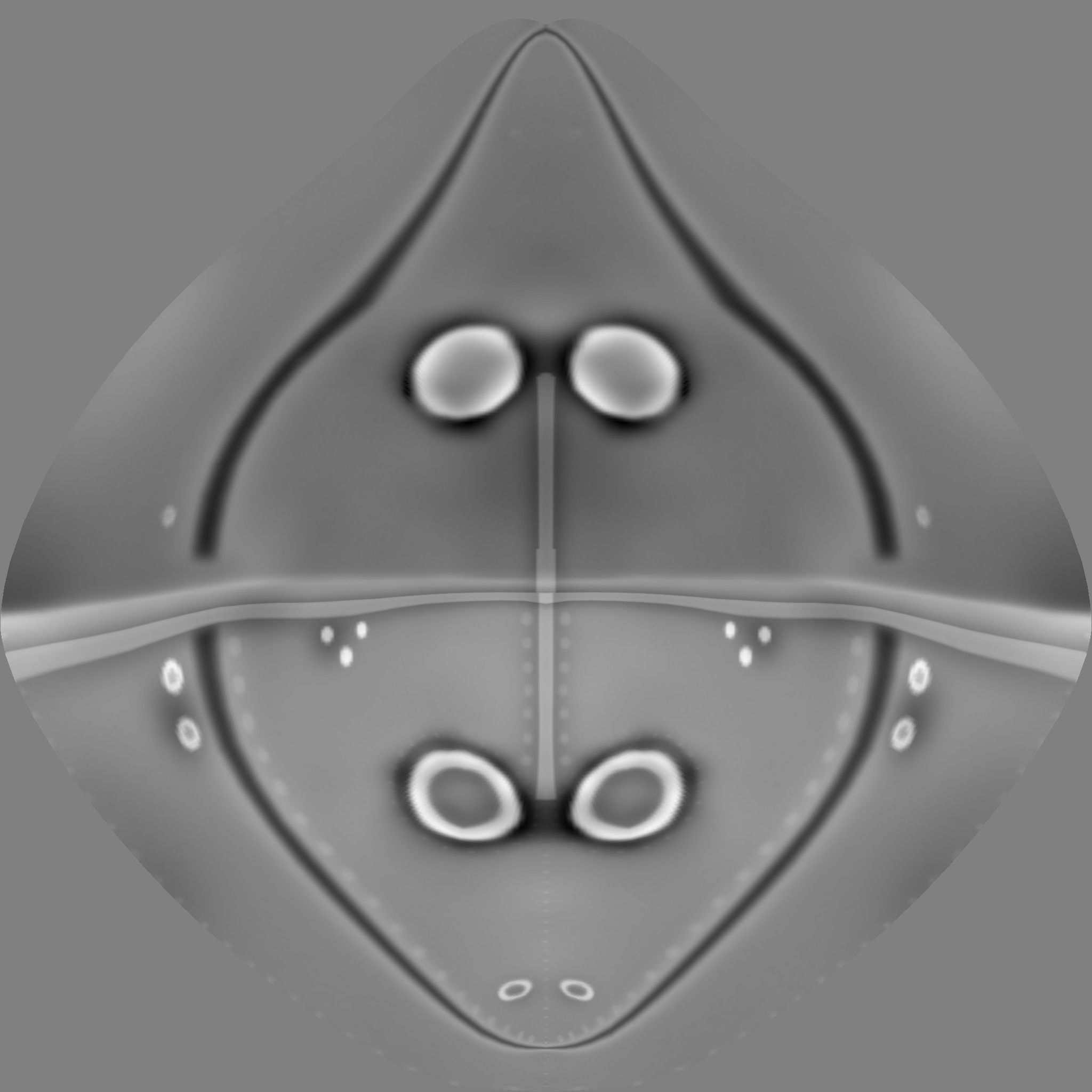 Plague Doctor - Hat and Mask Low-poly 3D model_6