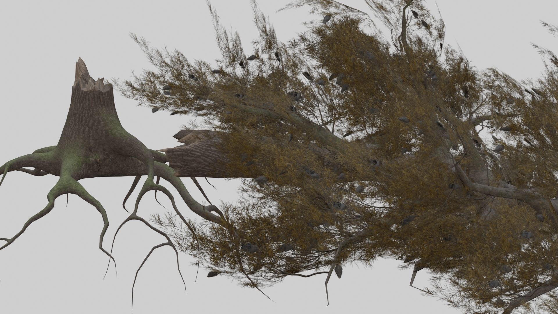 Low Poly Forest Pack With PBR Materials Low-poly 3D model_28