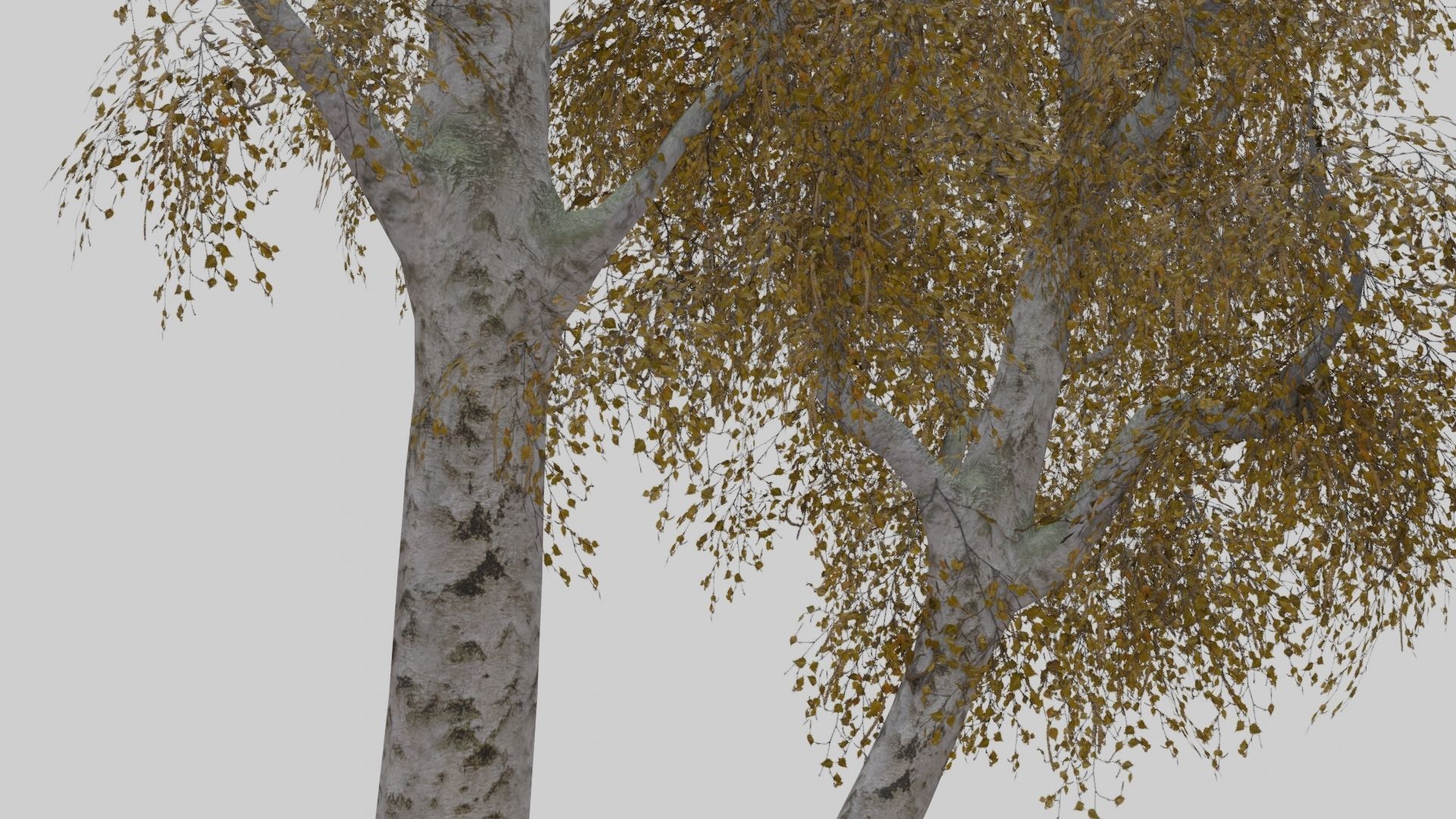 Low Poly Forest Pack With PBR Materials Low-poly 3D model_39