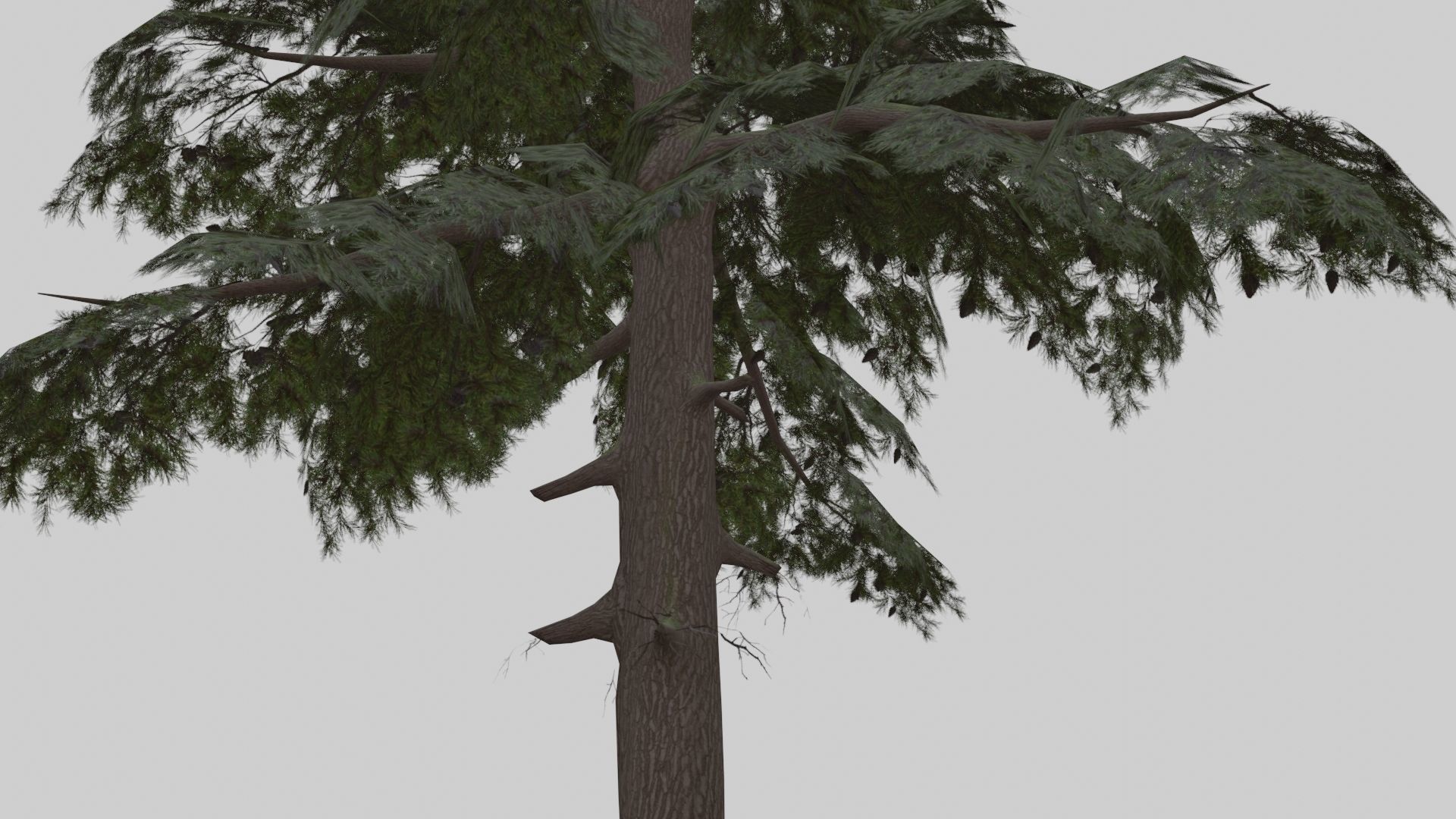 Low Poly Forest Pack With PBR Materials Low-poly 3D model_32