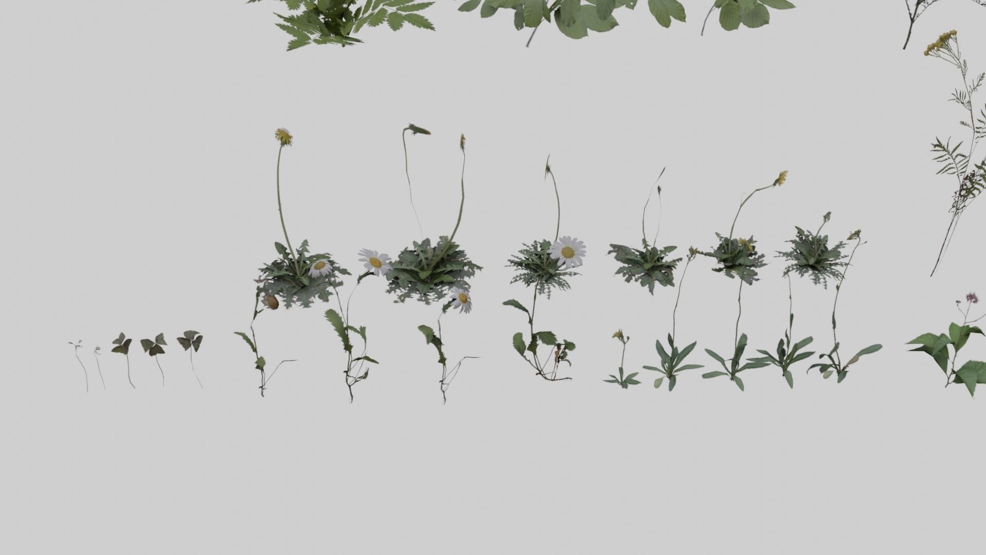 Low Poly Forest Pack With PBR Materials Low-poly 3D model_17