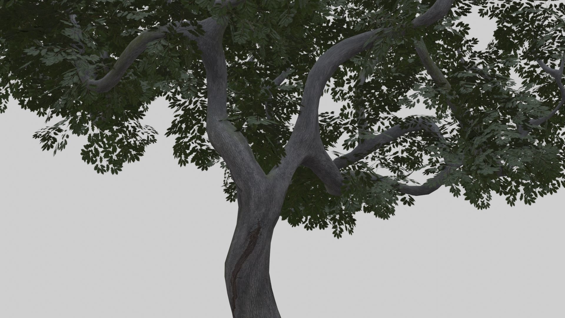 Low Poly Forest Pack With PBR Materials Low-poly 3D model_30