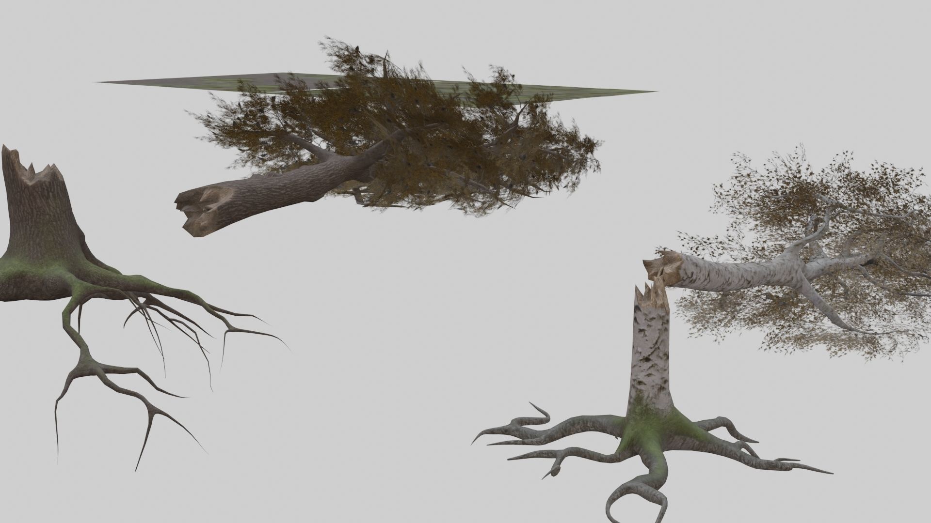 Low Poly Forest Pack With PBR Materials Low-poly 3D model_7
