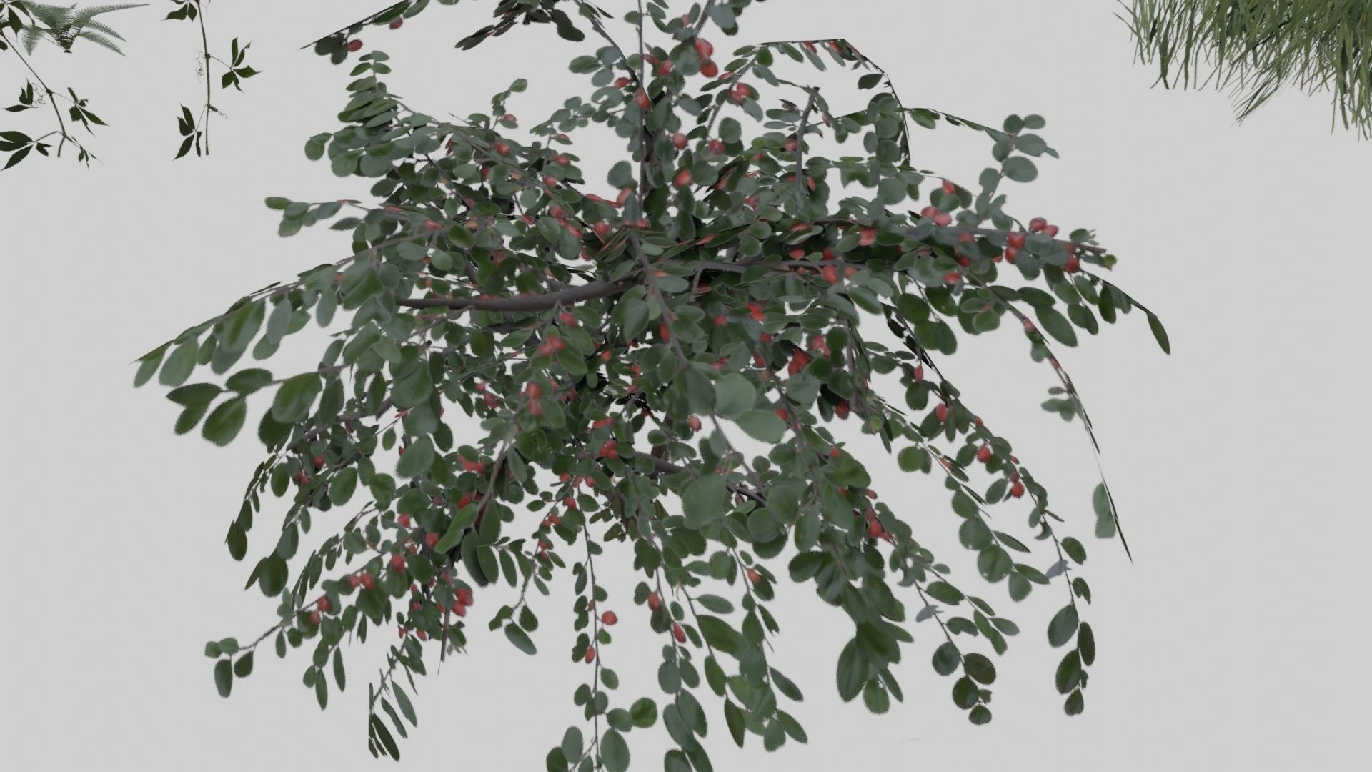 Low Poly Forest Pack With PBR Materials Low-poly 3D model_20