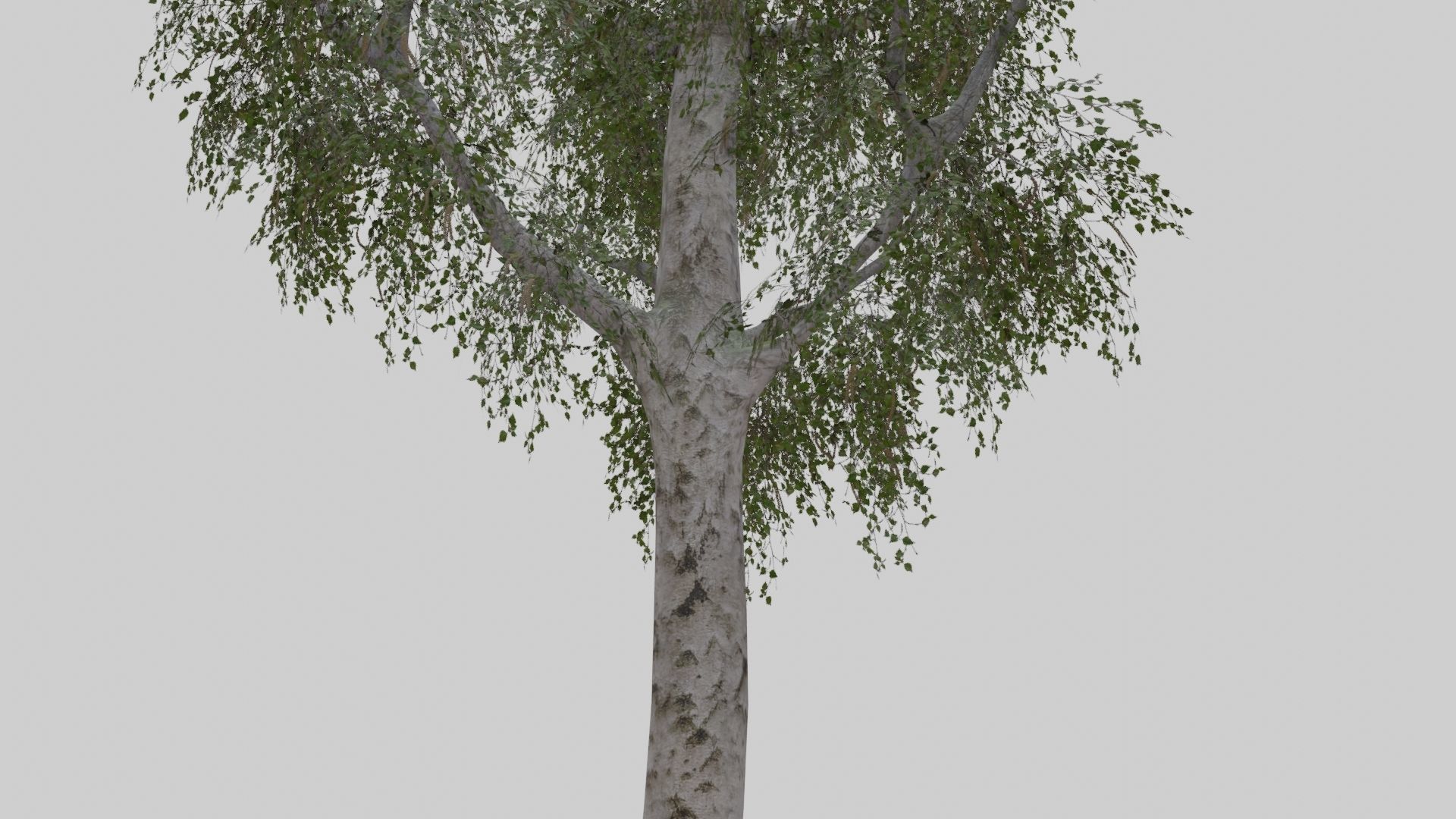 Low Poly Forest Pack With PBR Materials Low-poly 3D model_36