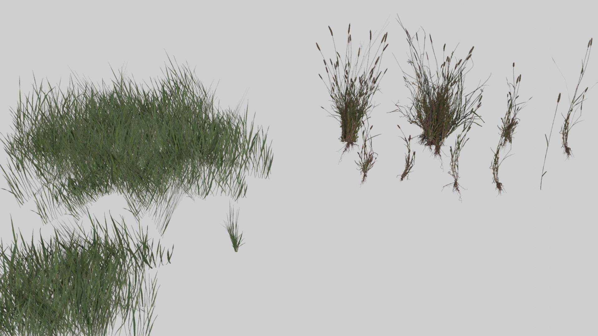 Low Poly Forest Pack With PBR Materials Low-poly 3D model_21