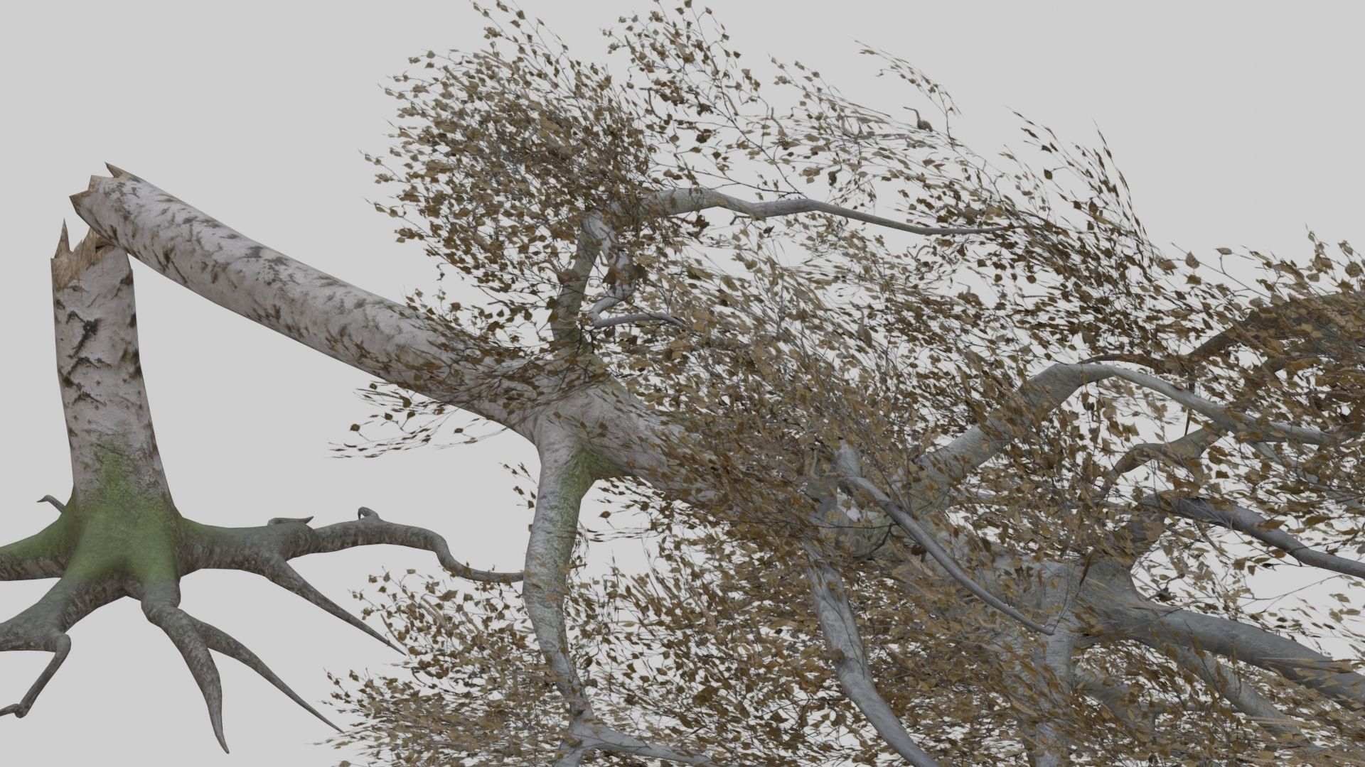 Low Poly Forest Pack With PBR Materials Low-poly 3D model_29
