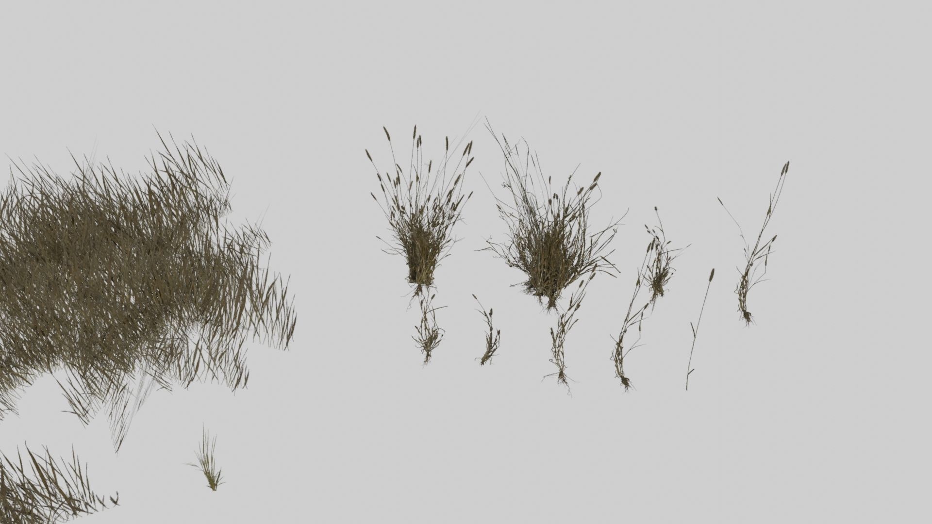 Low Poly Forest Pack With PBR Materials Low-poly 3D model_14