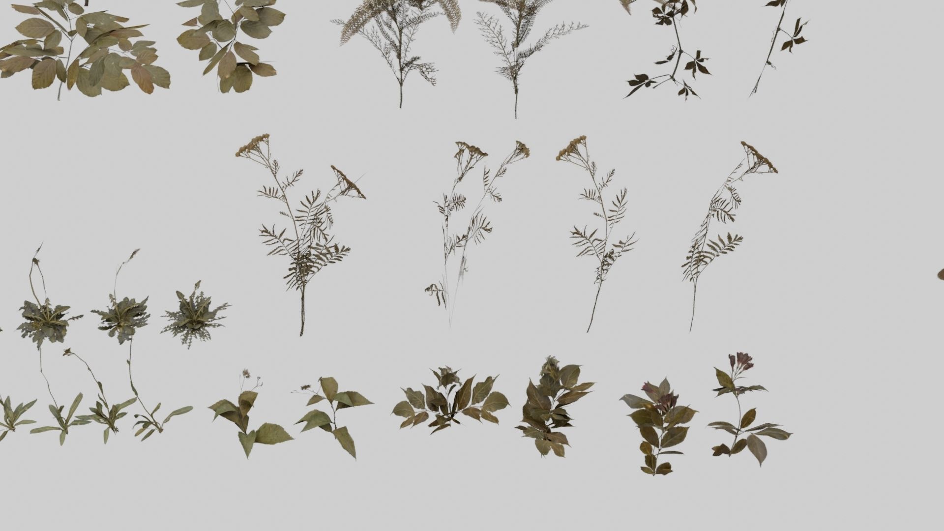 Low Poly Forest Pack With PBR Materials Low-poly 3D model_12
