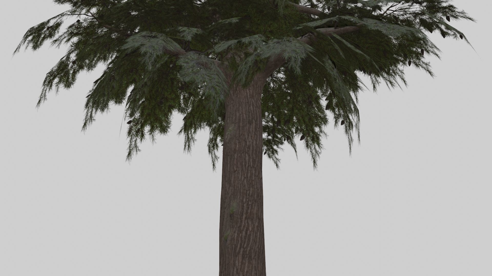 Low Poly Forest Pack With PBR Materials Low-poly 3D model_34