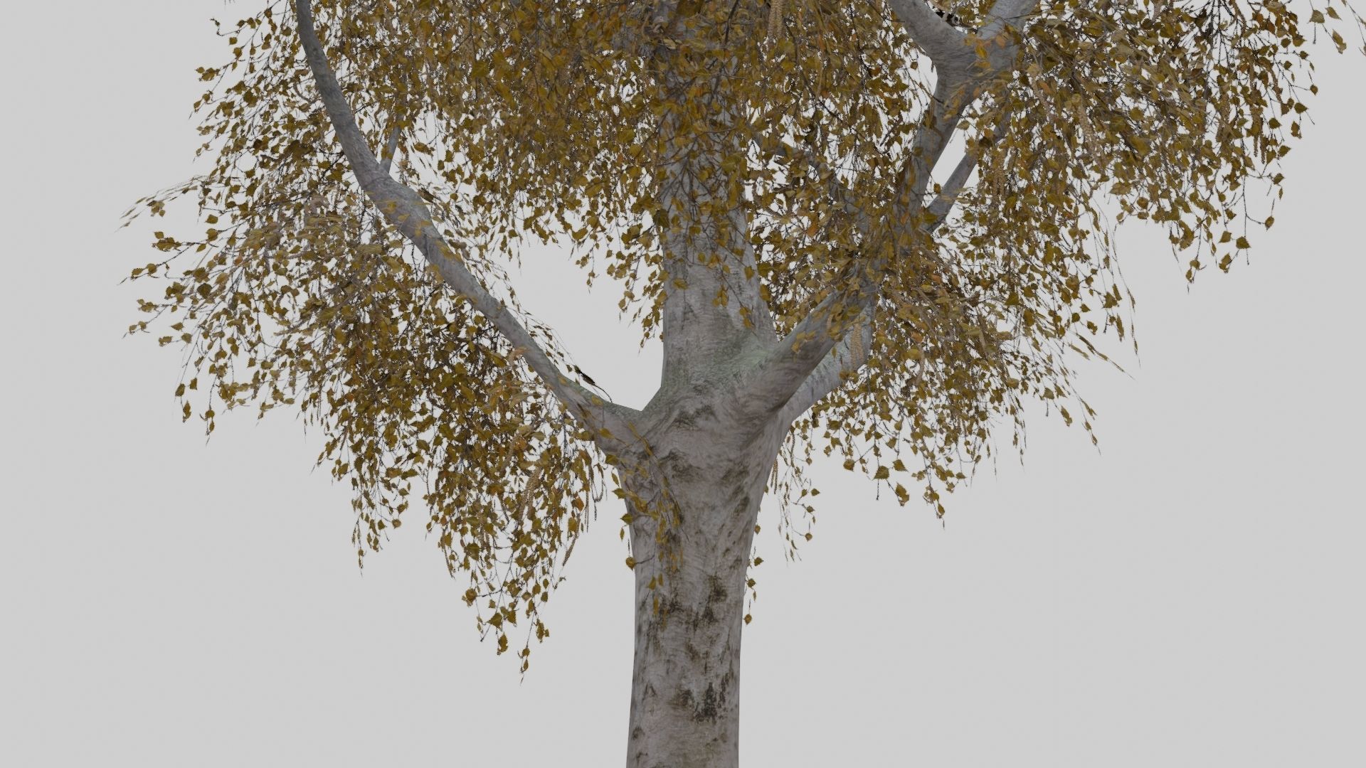 Low Poly Forest Pack With PBR Materials Low-poly 3D model_37