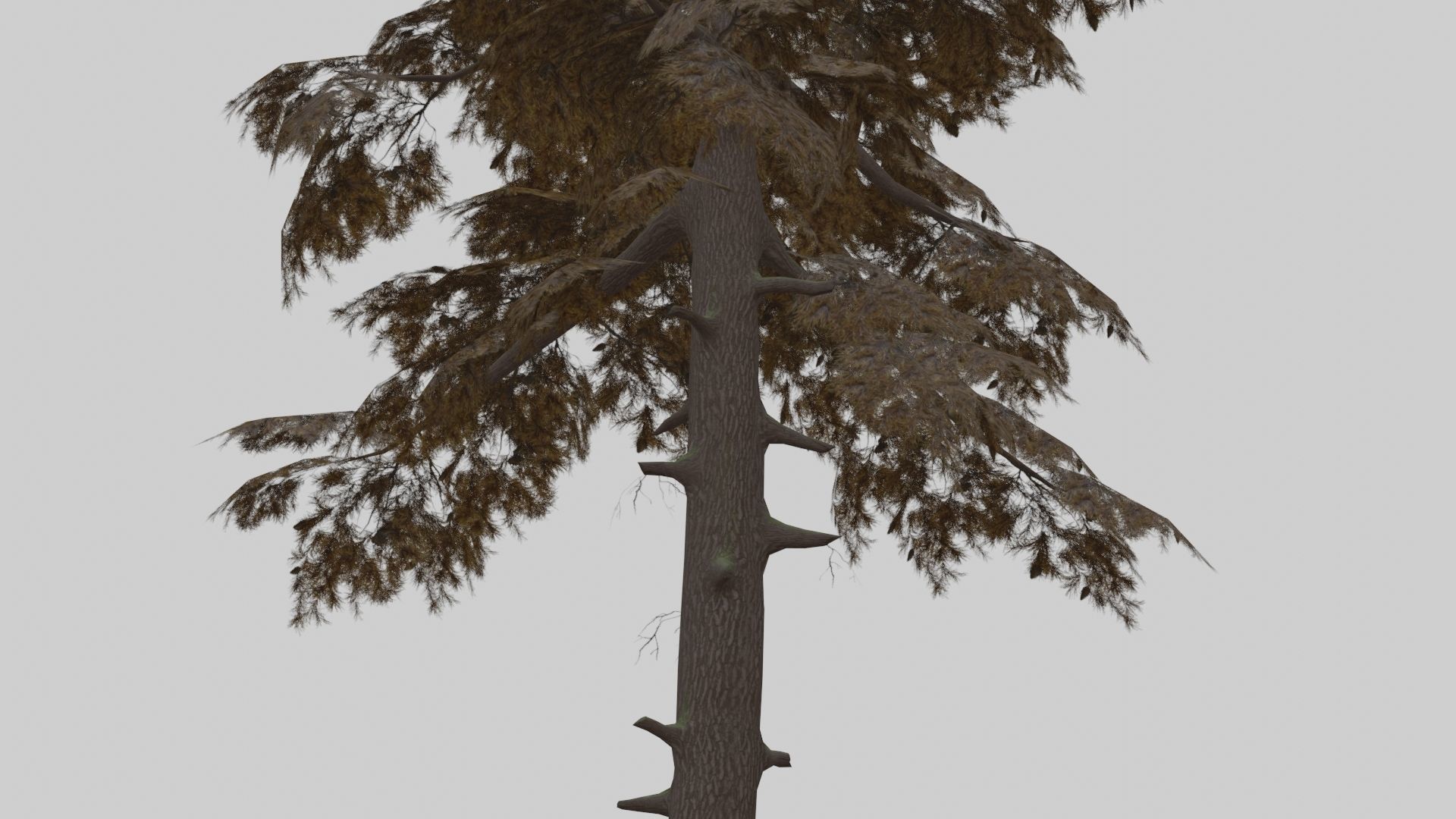 Low Poly Forest Pack With PBR Materials Low-poly 3D model_33
