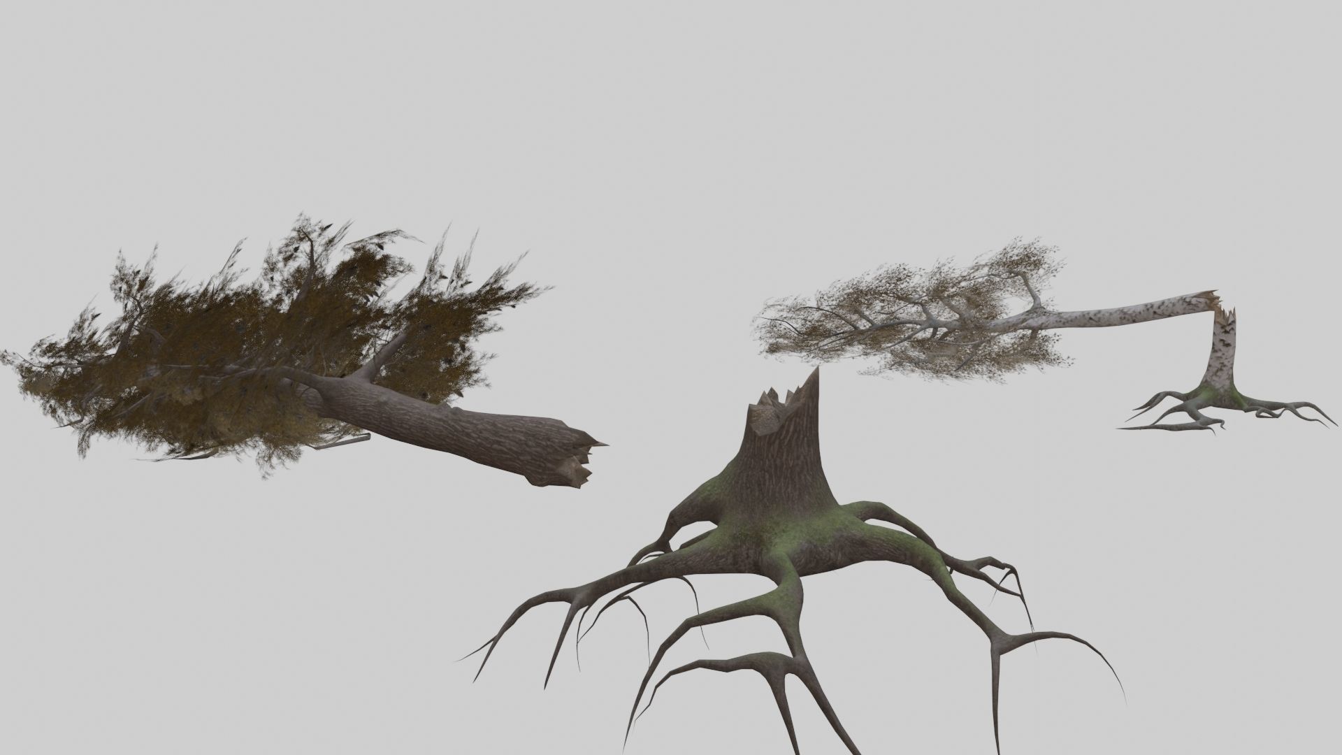 Low Poly Forest Pack With PBR Materials Low-poly 3D model_6