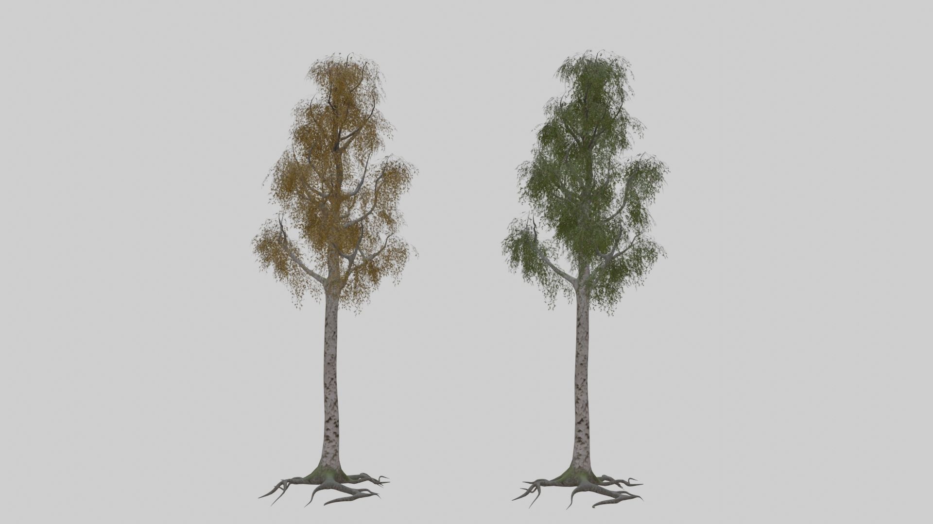 Low Poly Forest Pack With PBR Materials Low-poly 3D model_3