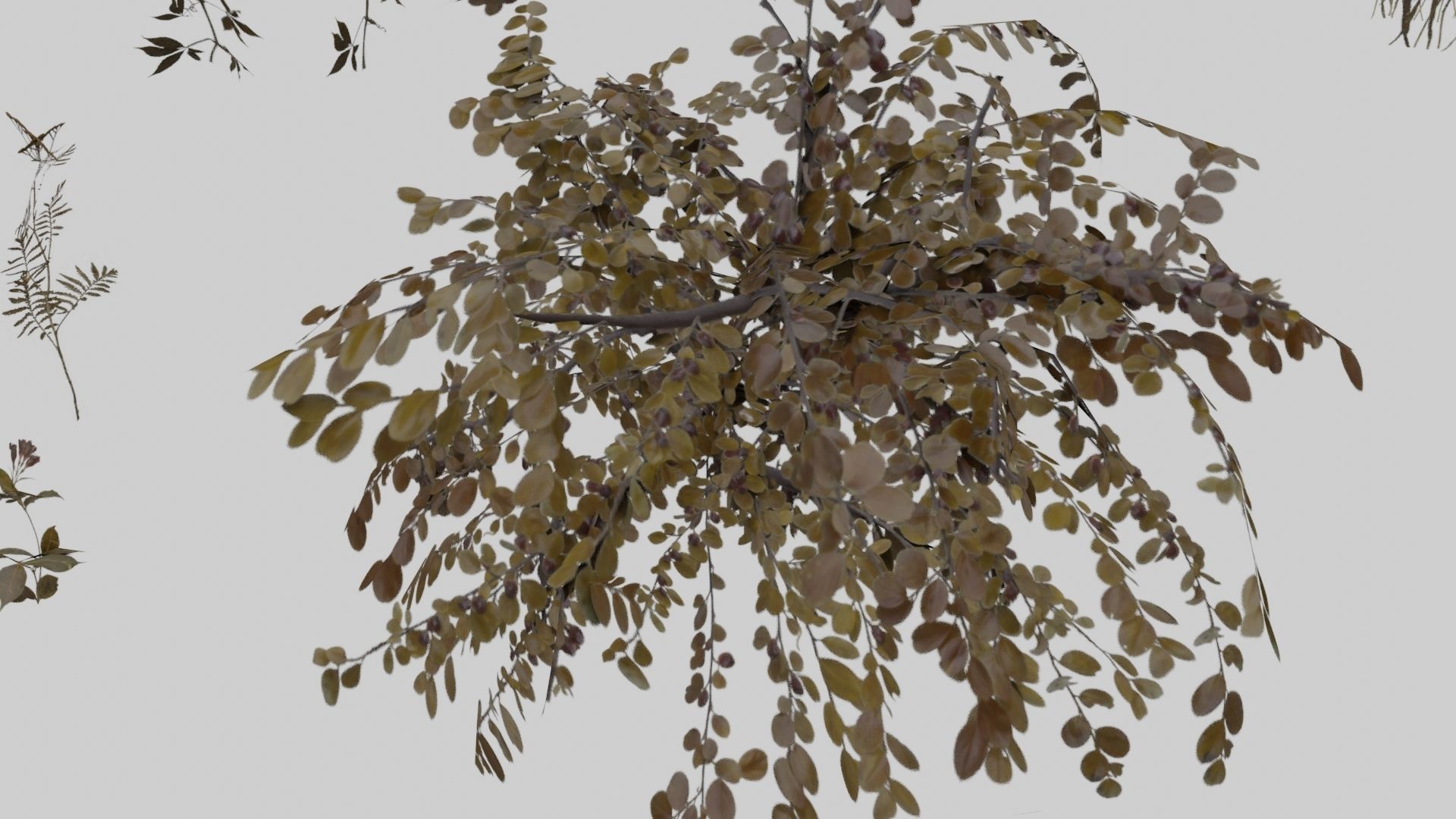 Low Poly Forest Pack With PBR Materials Low-poly 3D model_13
