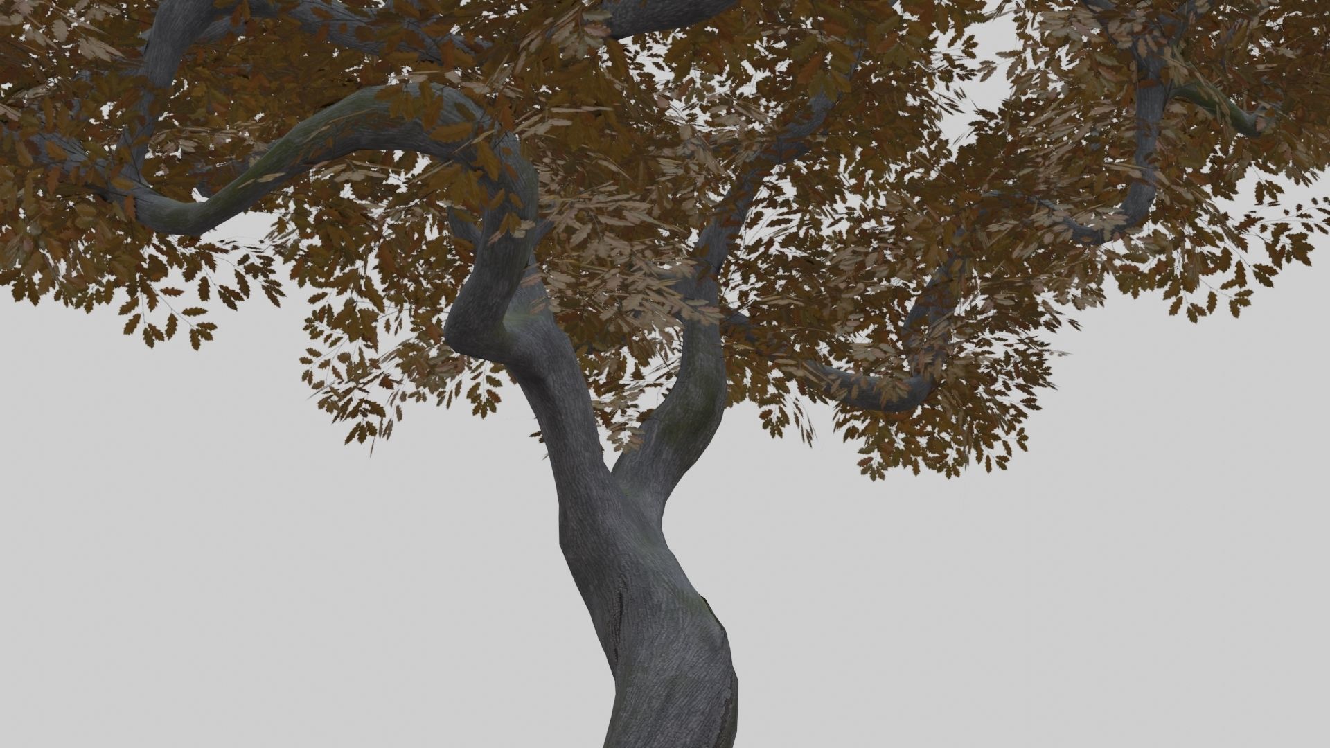 Low Poly Forest Pack With PBR Materials Low-poly 3D model_31