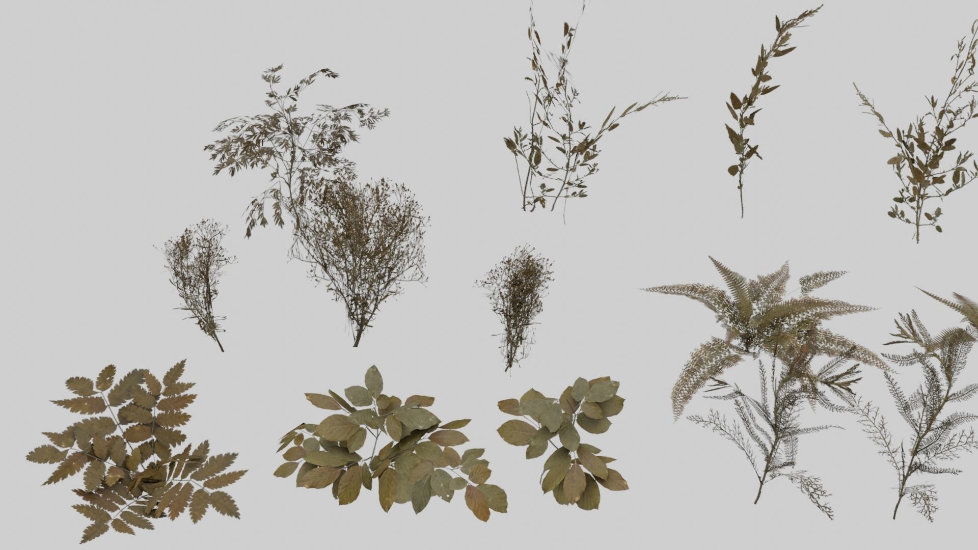 Low Poly Forest Pack With PBR Materials Low-poly 3D model_11