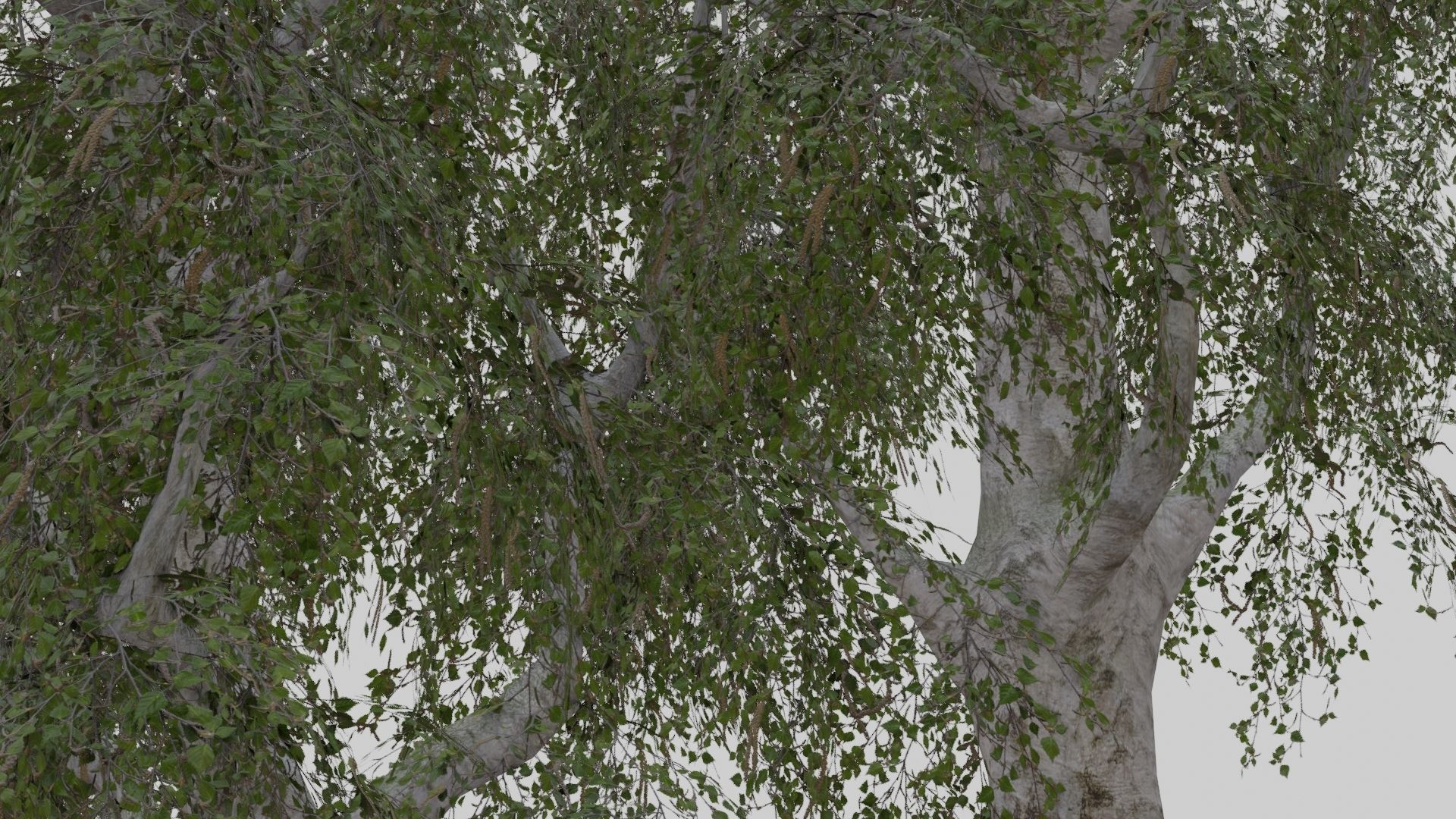 Low Poly Forest Pack With PBR Materials Low-poly 3D model_40