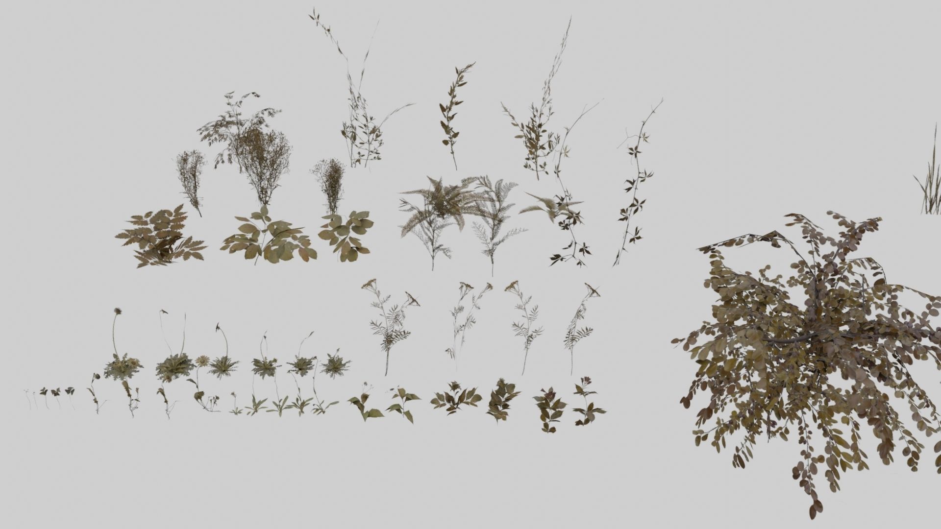 Low Poly Forest Pack With PBR Materials Low-poly 3D model_9
