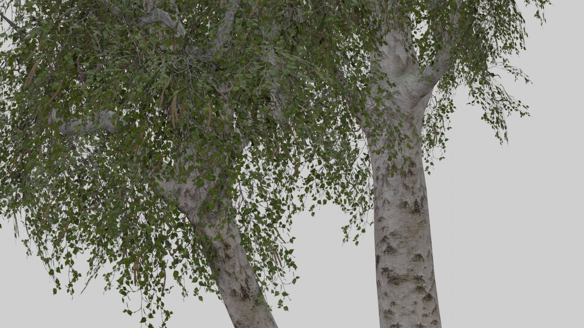 Low Poly Forest Pack With PBR Materials Low-poly 3D model_38