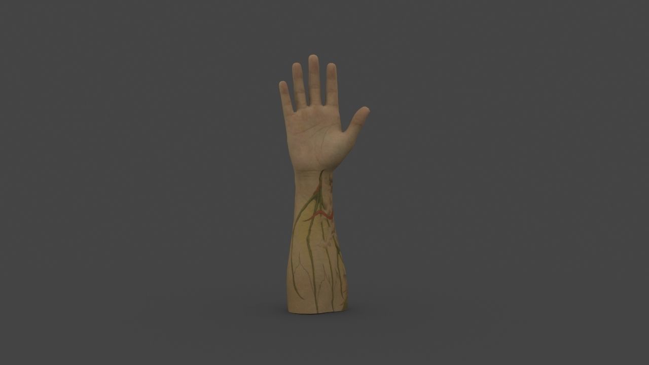 HAND-010 Right Hand Low-poly 3D model_2