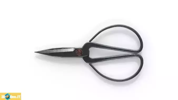 Kitchen Scissors