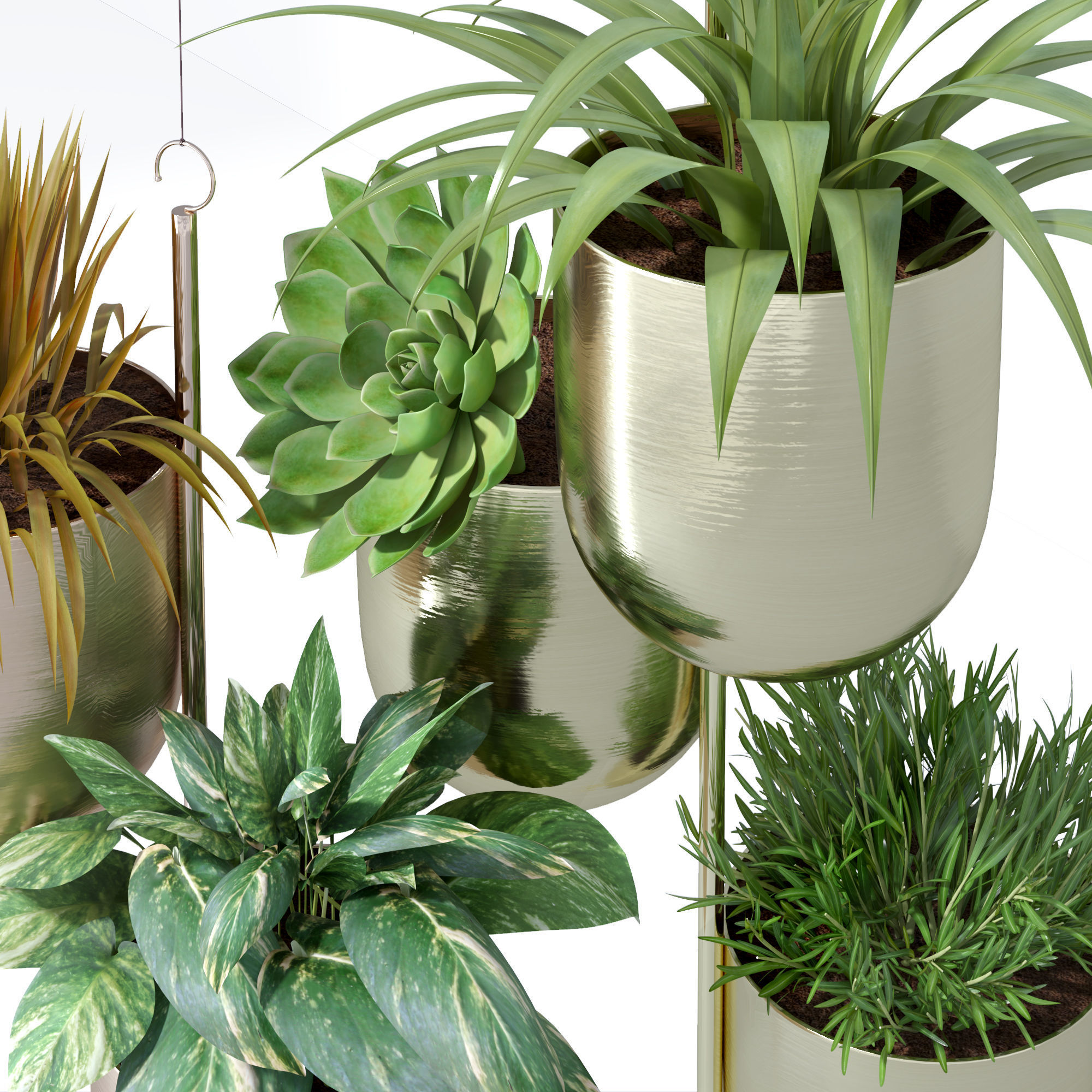 Hanging metal plant vine pot lighting lamp partition divider 3D Model Collection_9