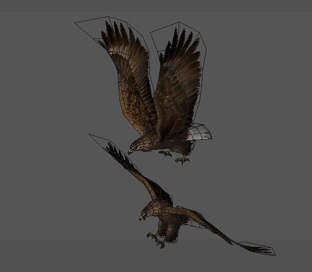 eagle two eagles in flight 3D model_2
