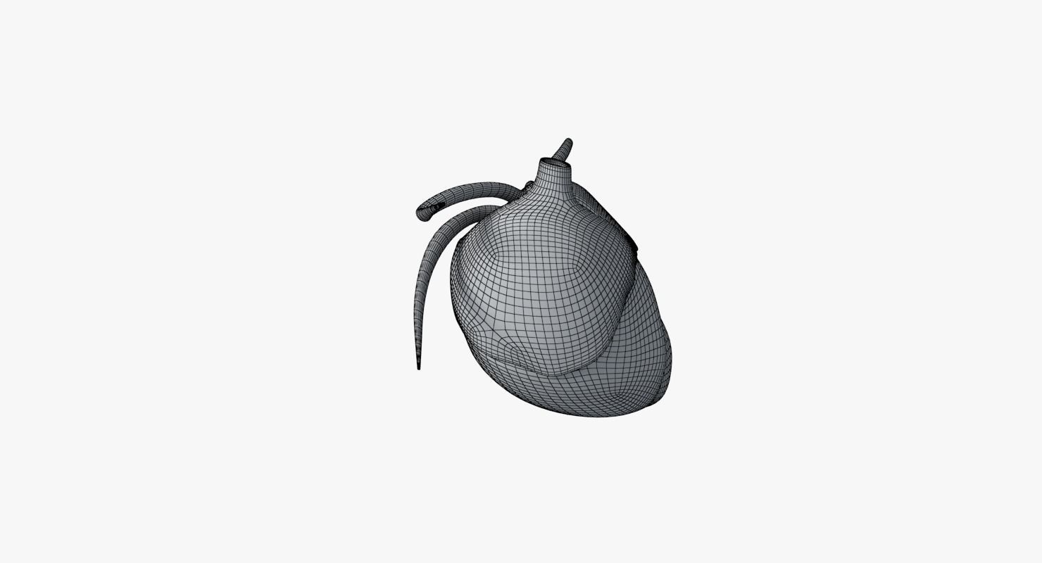 Human Heart Low-poly 3D model_12