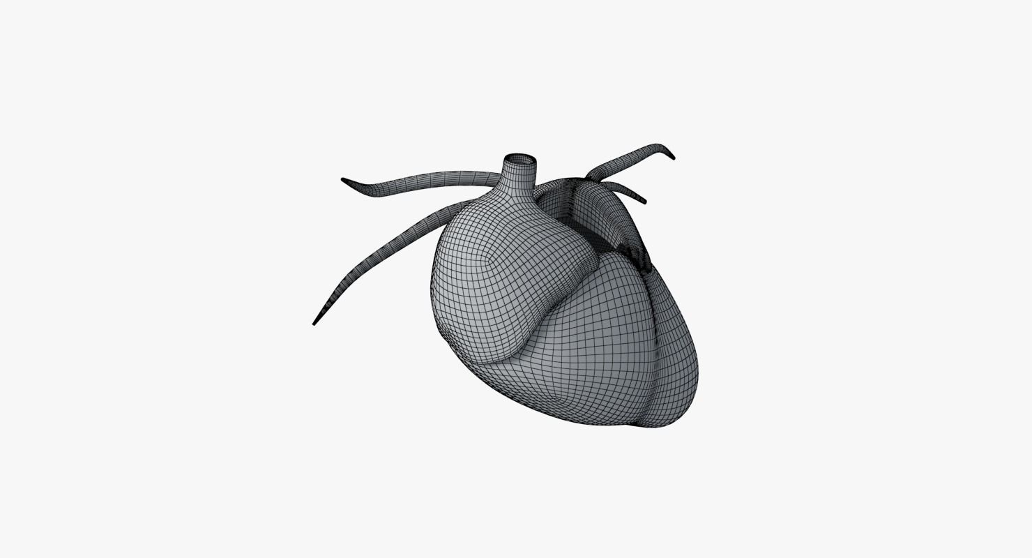 Human Heart Low-poly 3D model_15