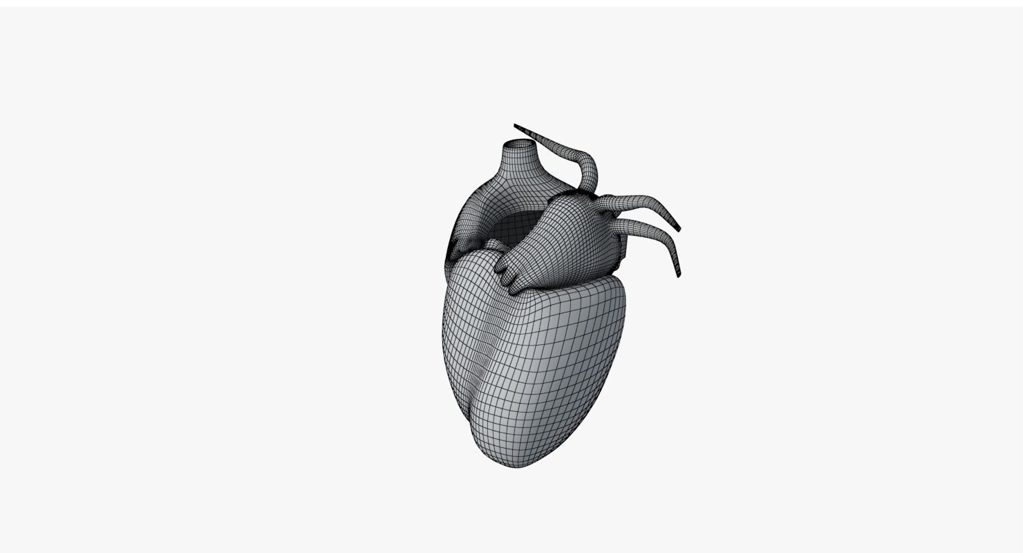 Human Heart Low-poly 3D model_13