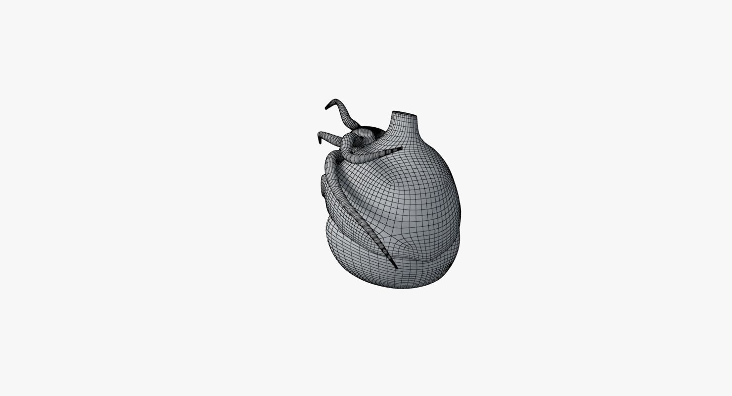Human Heart Low-poly 3D model_16