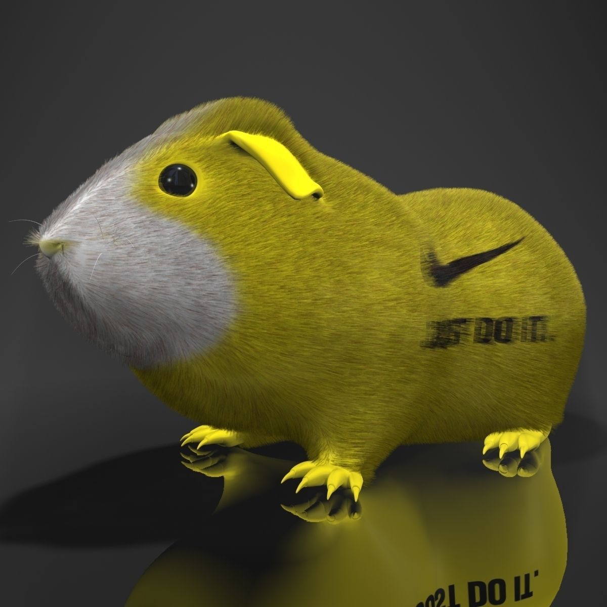 Guinea pig  Cavia porcellus Rigged Low-poly 3D model_14