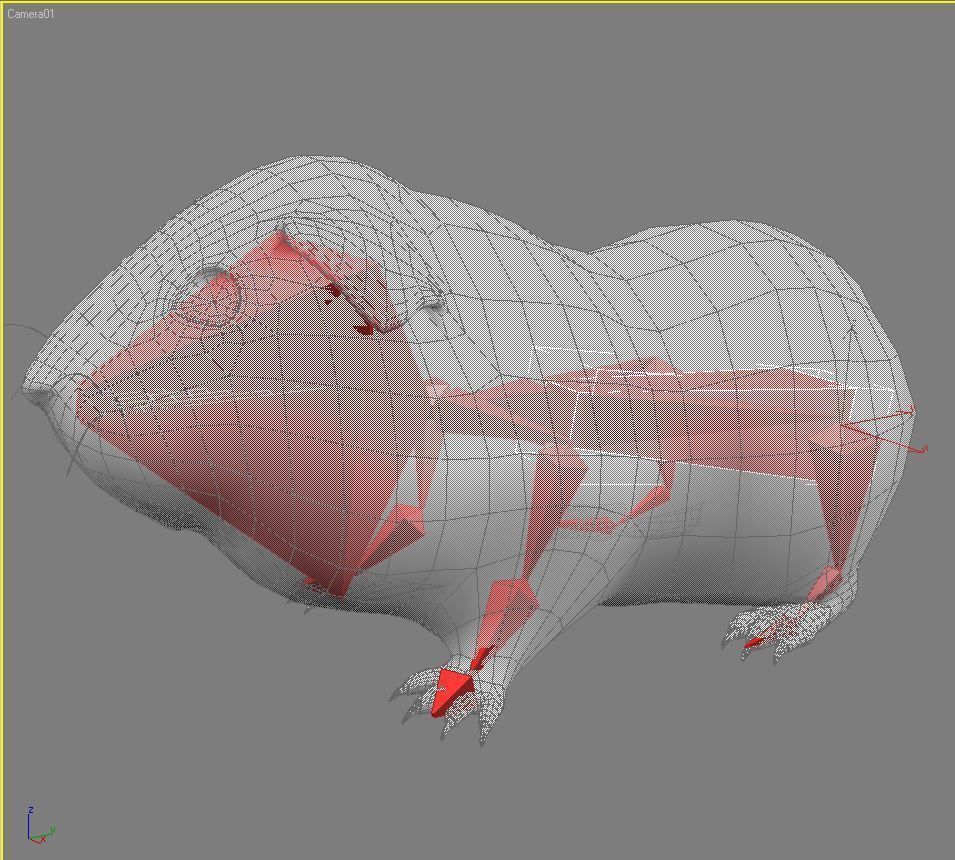 Guinea pig  Cavia porcellus Rigged Low-poly 3D model_13