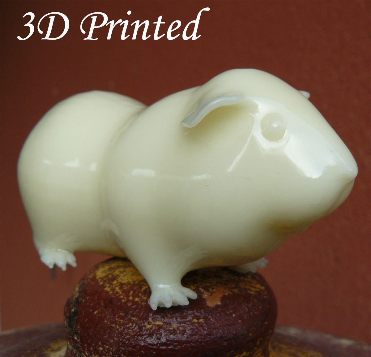 Guinea pig  Cavia porcellus Rigged Low-poly 3D model_15