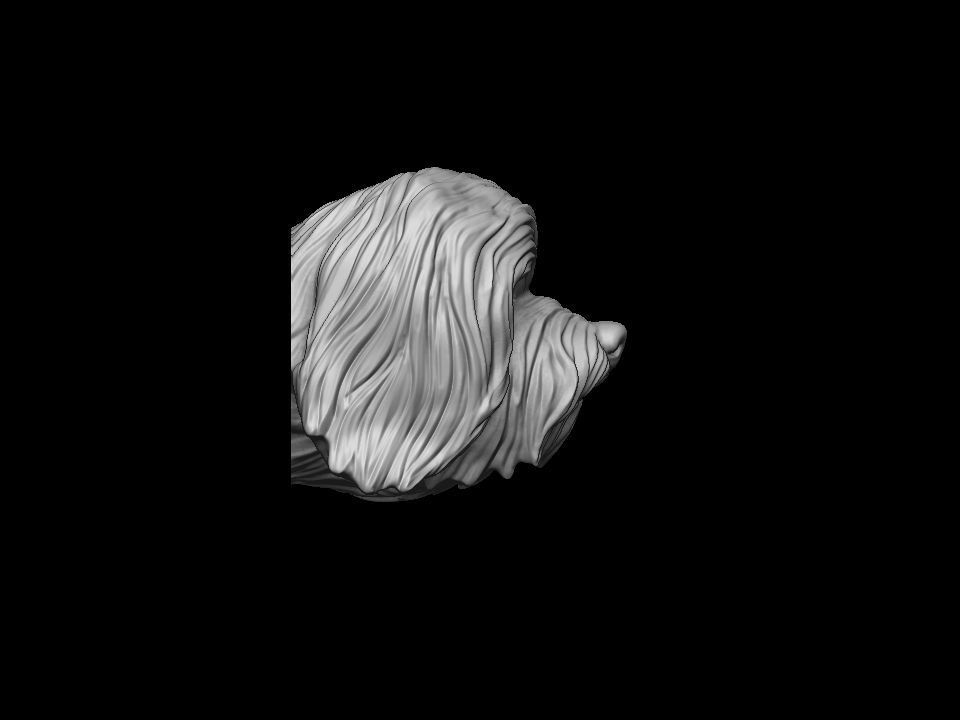 Havanese dog head pendant 3d print model 3D print model_4