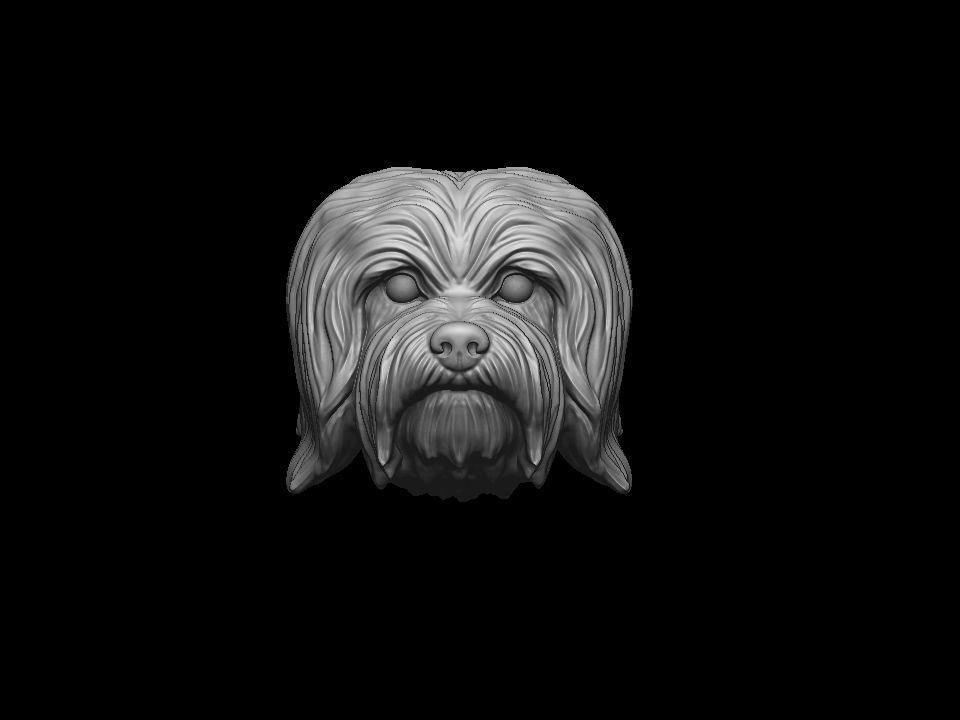 Havanese dog head pendant 3d print model 3D print model_1