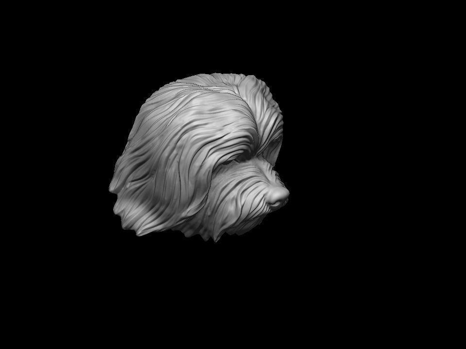Havanese dog head pendant 3d print model 3D print model_12