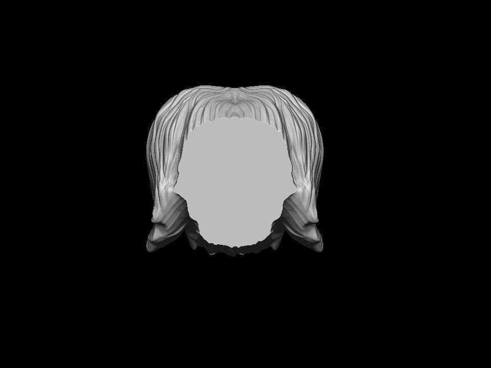 Havanese dog head pendant 3d print model 3D print model_5