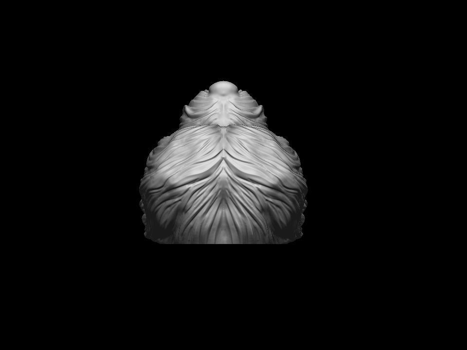Havanese dog head pendant 3d print model 3D print model_9